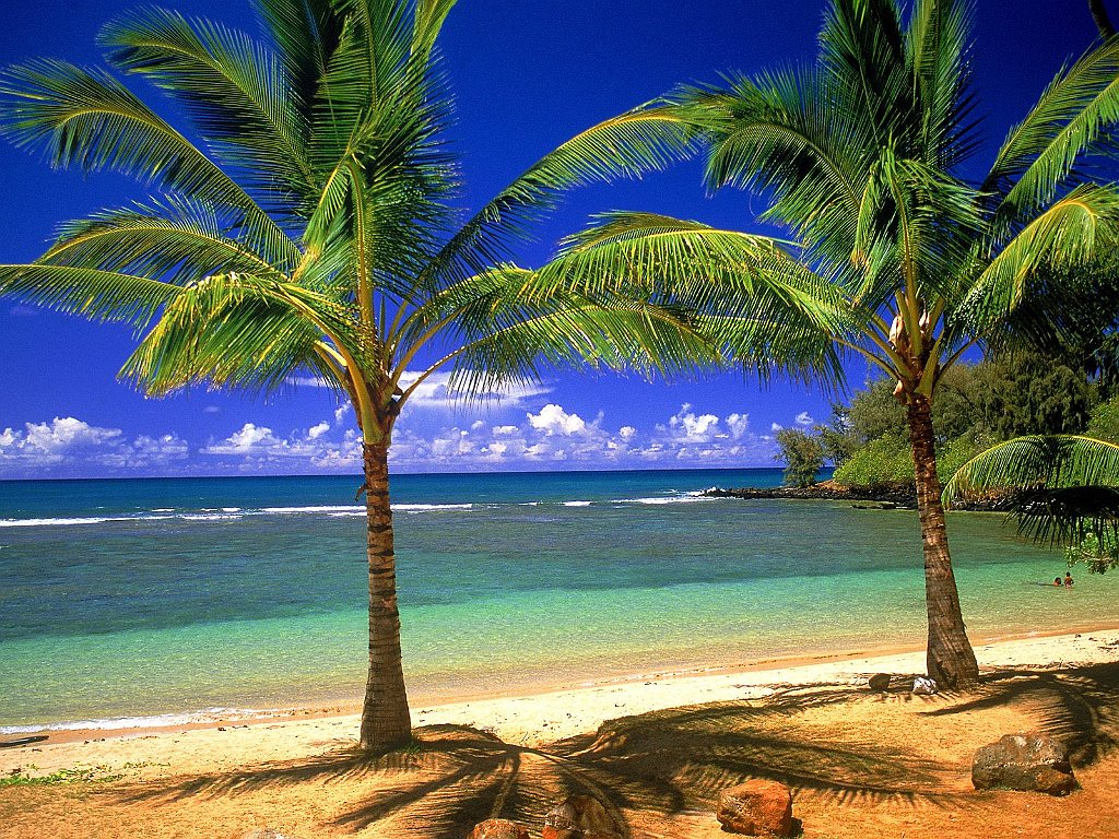 Tropical Lagoon